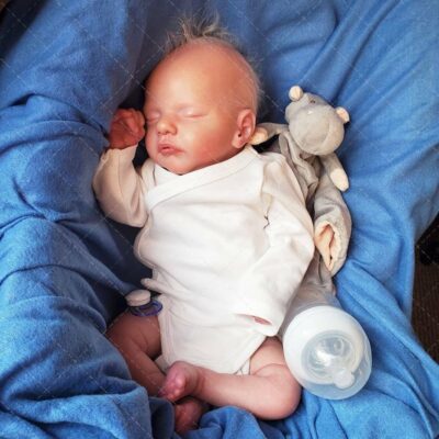 19” Real Life Reborn Baby Dolls Sweet Handmade Realistic Toddler Reborn Baby Toy MoonPie Reborns® Murray