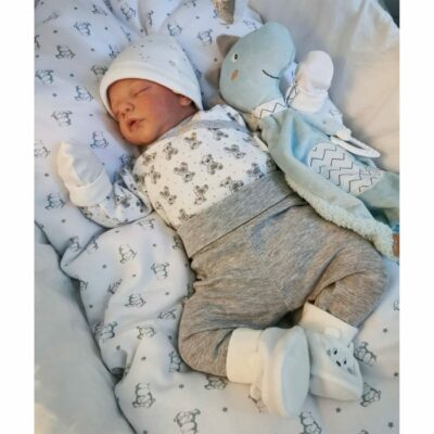 19'' Realistic Cute Baby Doll Sweet Reborn Dolls MoonPie Reborns® Ted