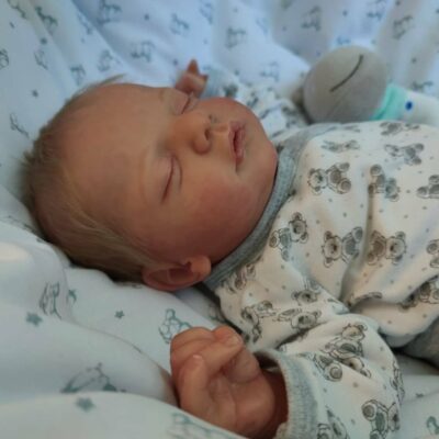 19'' Truly Realistic Reborn Baby Doll Sleeping Baby MoonPie Reborns® Adam