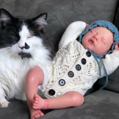 19'' Adorable Newborn Sleeping Silicone Toddler Reborn Baby Dolls MoonPie Reborns® Paddy