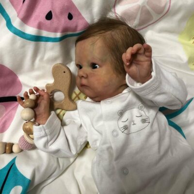 17'' Soft Body Baby Alive Boneca Kids Reborn Gift Reborn Lover Newborn Reborn Baby Toddler Silicone Doll MoonPie Reborns® Tabitha