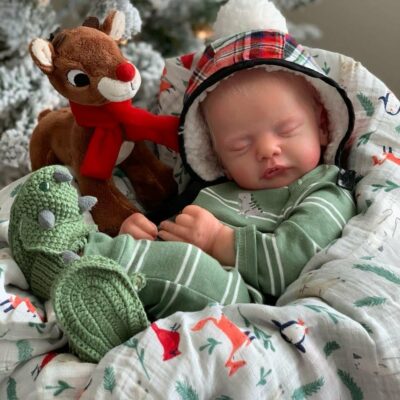 19'' Truly Lifelike Reborn Baby Doll Weighted Body Baby Doll MoonPie Reborns® Ivan